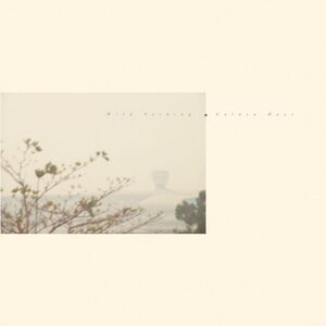 Wild Nothing - Golden Haze - Golden Haze  LP LP